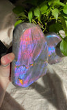 Rainbow Labradorite Freeform