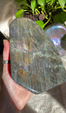 Rainbow Labradorite Freeform