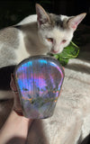 Cotton Candy Labradorite Freeform