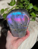 Cotton Candy Labradorite Freeform
