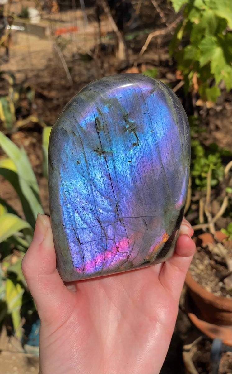 Labradorite hotsell Rosecut Freeforms with blue fire