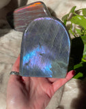Purple & Blue Labradorite Freeform
