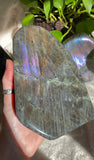 Rainbow Labradorite Freeform