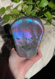 Cotton Candy Labradorite Freeform