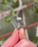 Halo Rings