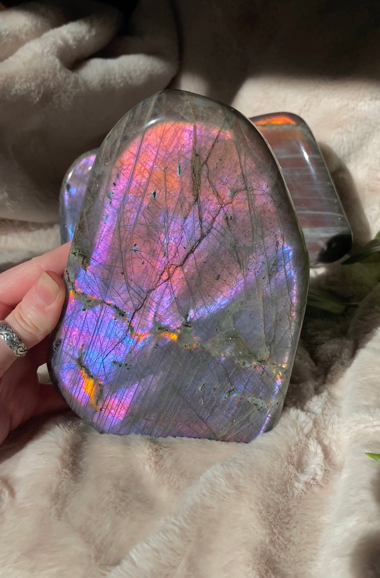 Rainbow Flash 2024 Labradorite