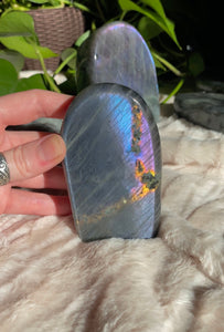 Blue & Purple Labradorite Freeform